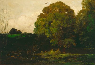 Ein Teich im Morvan, 1869 von Charles Francois Daubigny